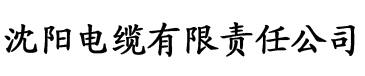 欧洲黑人最强潮水RAPPER电缆厂logo